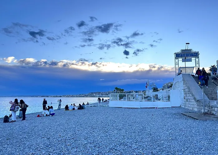 Auberge De Jeunesse Hi Nice Les CameliasHostel